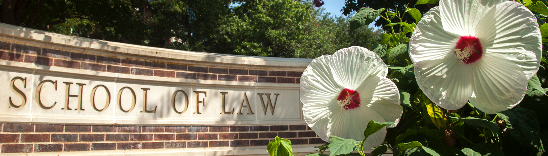 Getting Ready For Law School | SMU Dedman School Of Law | Dallas Texas