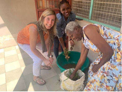 Zarazaga sustainability