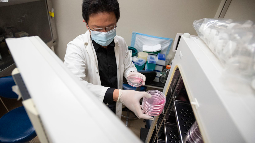 Researcher in a lab.