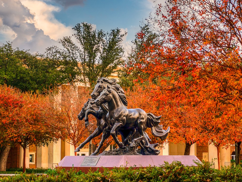 Mustang sculptures on SMU campus