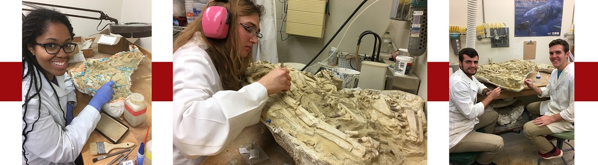 students in lab research