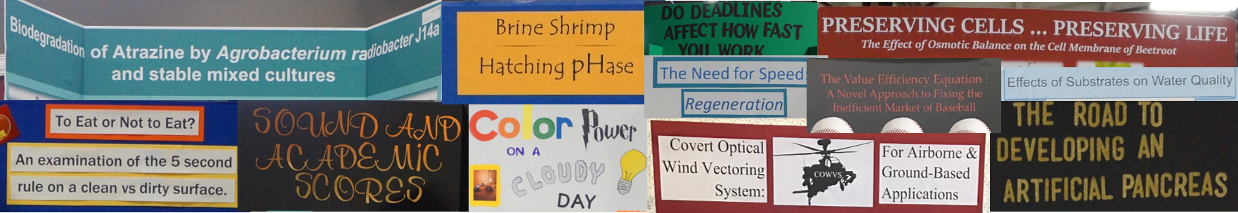 2018 DRSEF Poster title montage