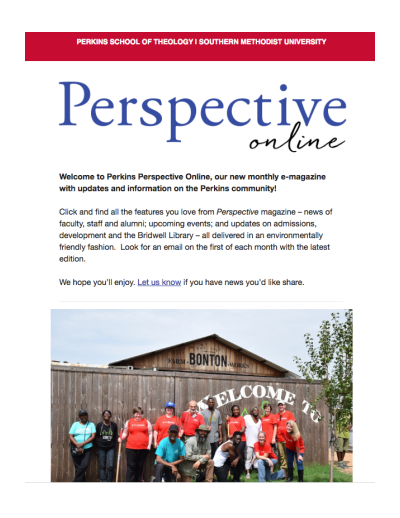 Perspective Online