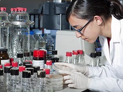 Scientist conducting research experiments in laboratory setting