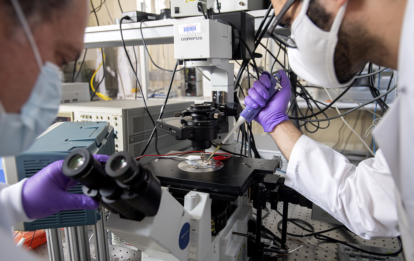 Two scientist working together.