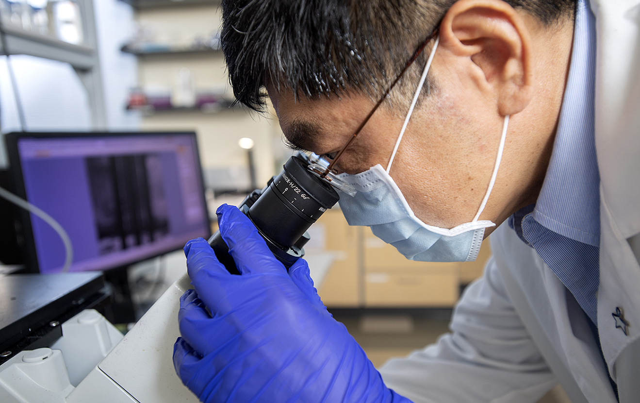 Scientist looking through a microscope