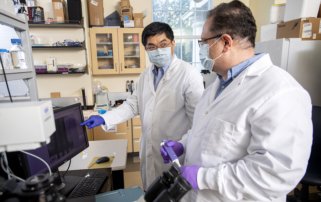 Two scientist wearing face-masks