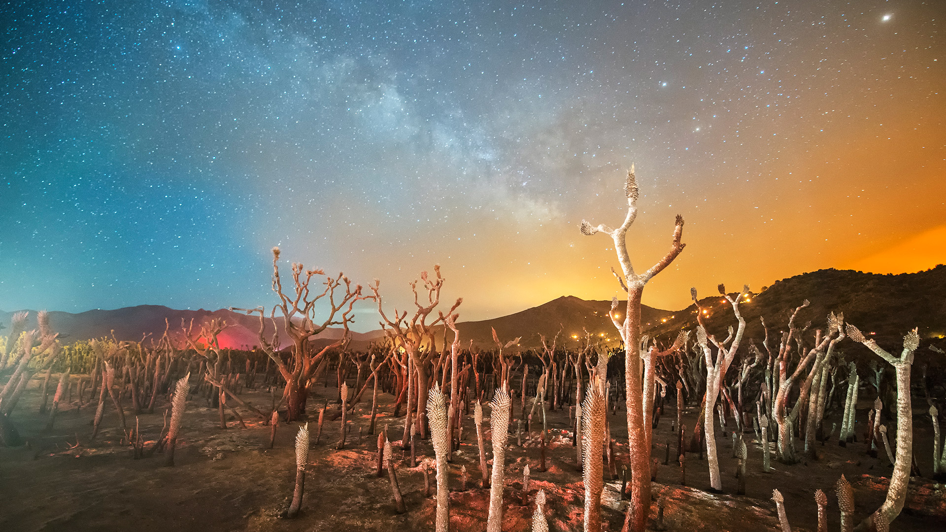 Photo of Indigenous wildfire village.