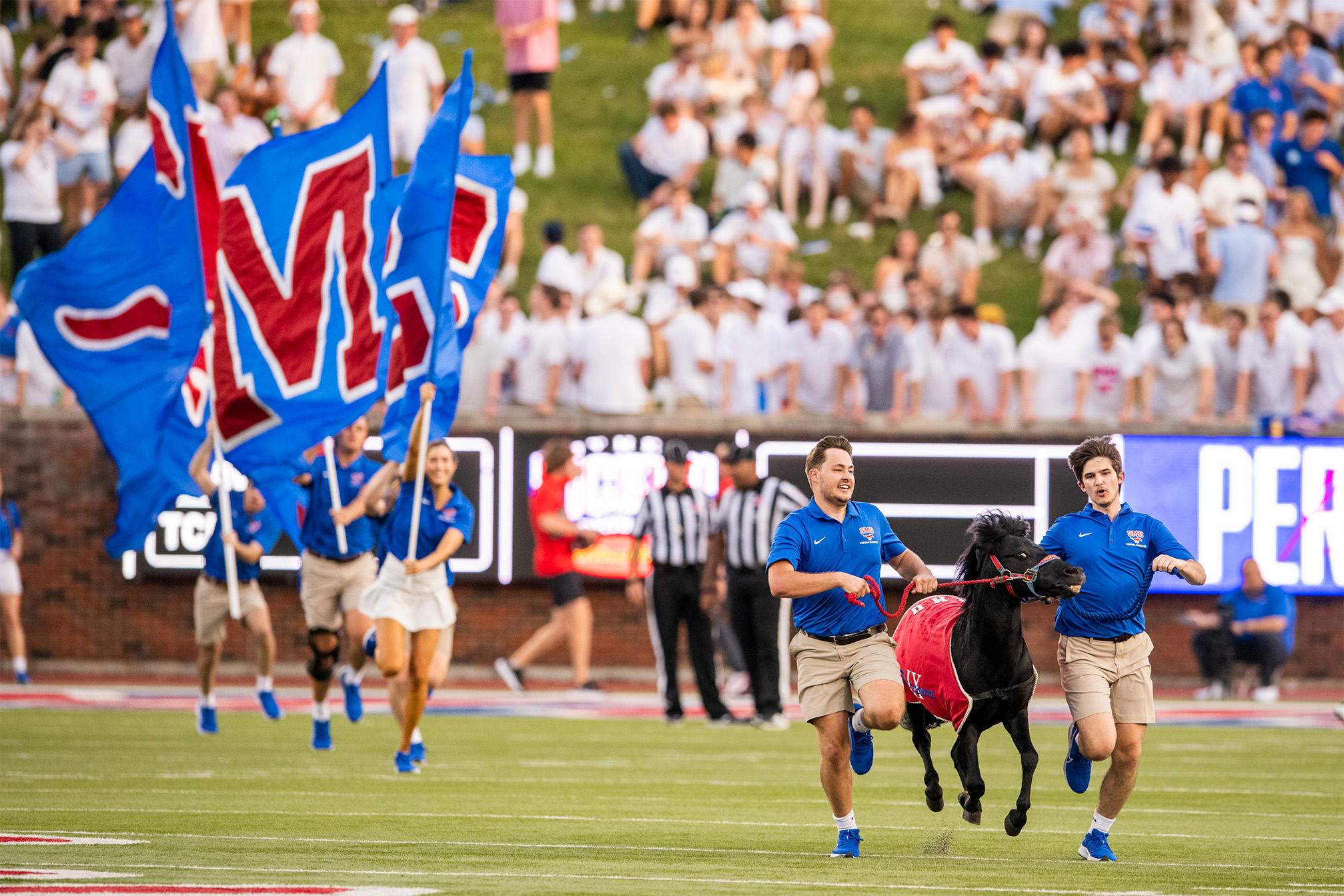 Peruna IX running across football field at game with handlers and students running with SMU blue and red flags behind