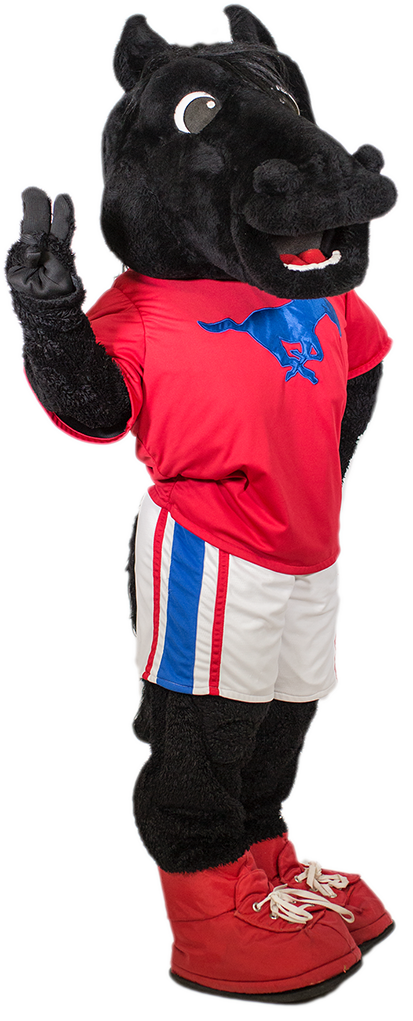 human peruna mascot in red tshirt with blue mustang logo, white shorts with blue and red strips, and red shoes